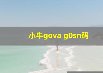 小牛gova g0sn码